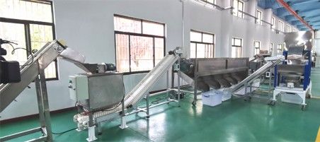 核桃去青皮清洗、提升機(jī)